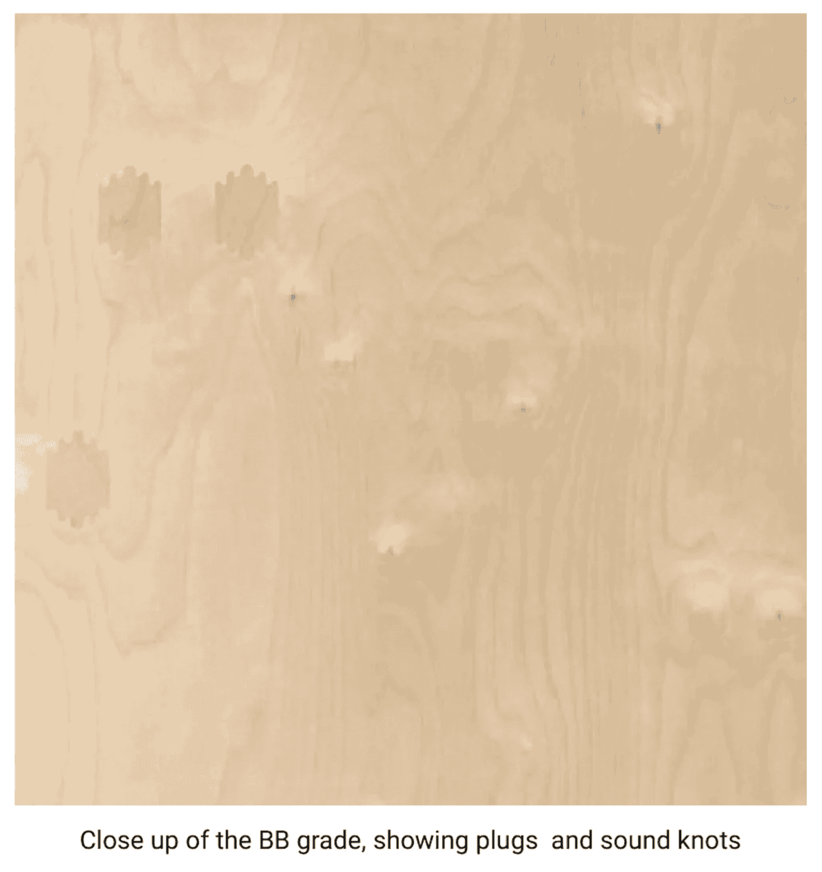 Crafter NEW SHAPE 2017 onwards LWB HIGH ROOF PANELS - Image 7